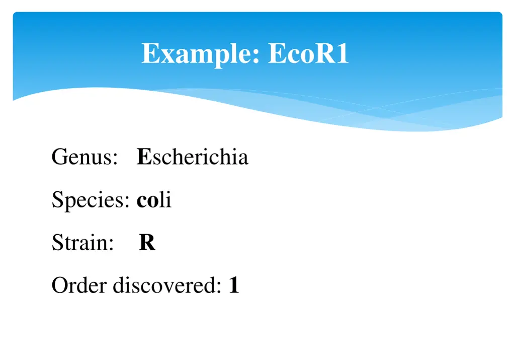 example ecor1