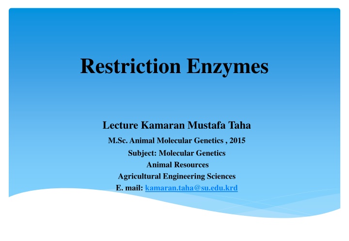 restriction enzymes
