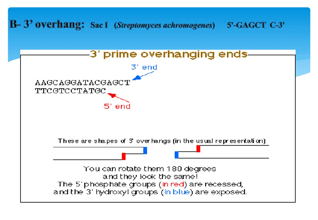 slide11