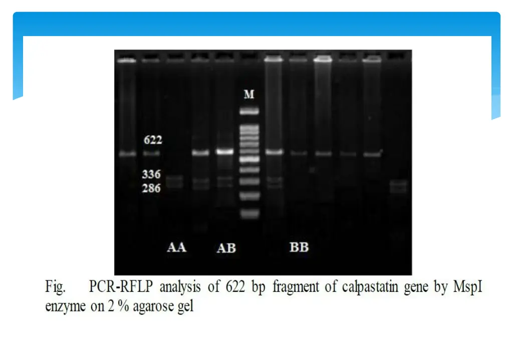 slide16