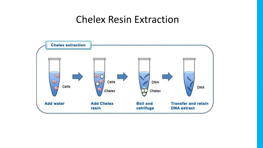 chelex resin extraction