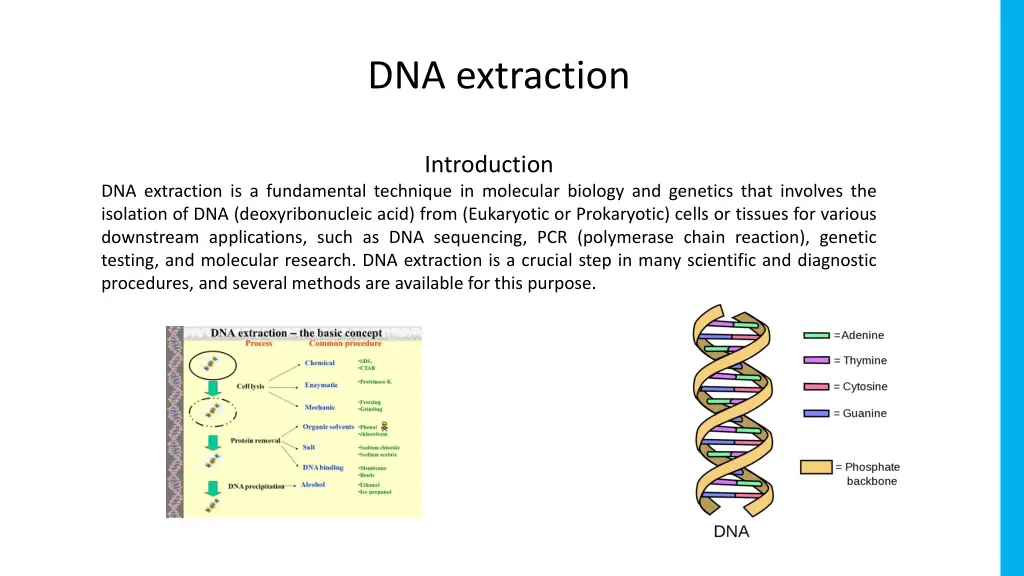 dna extraction
