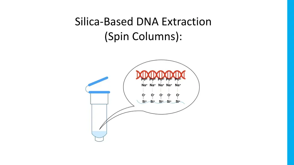 silica based dna extraction spin columns