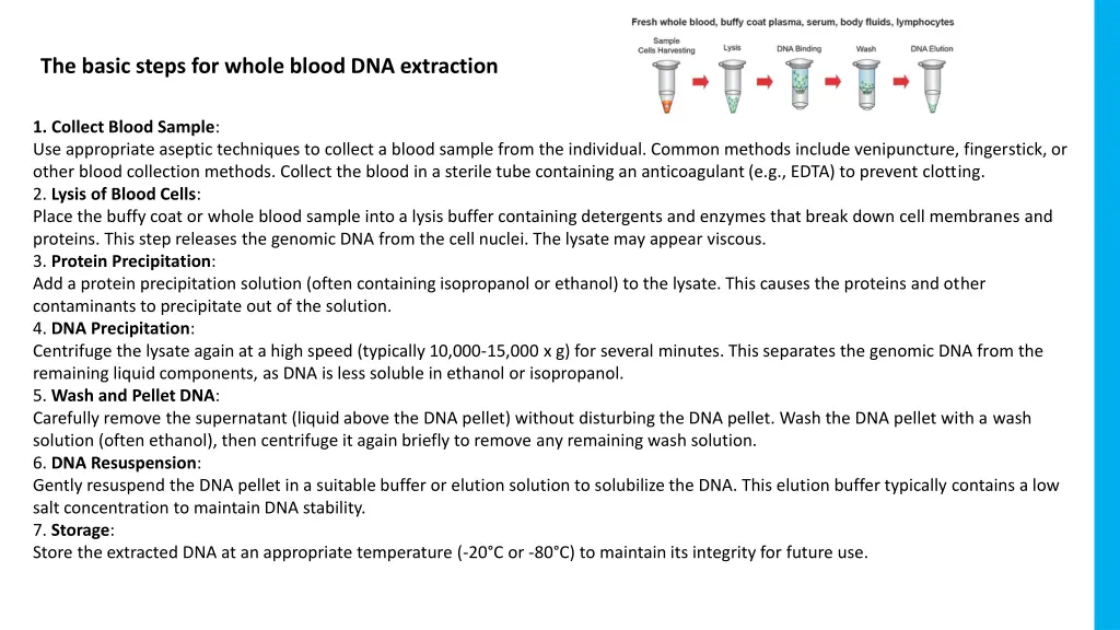 the basic steps for whole blood dna extraction