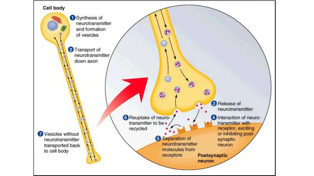 slide9