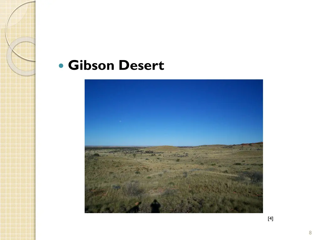 gibson desert