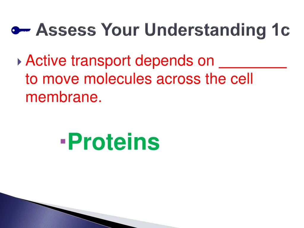 active transport depends on to move molecules