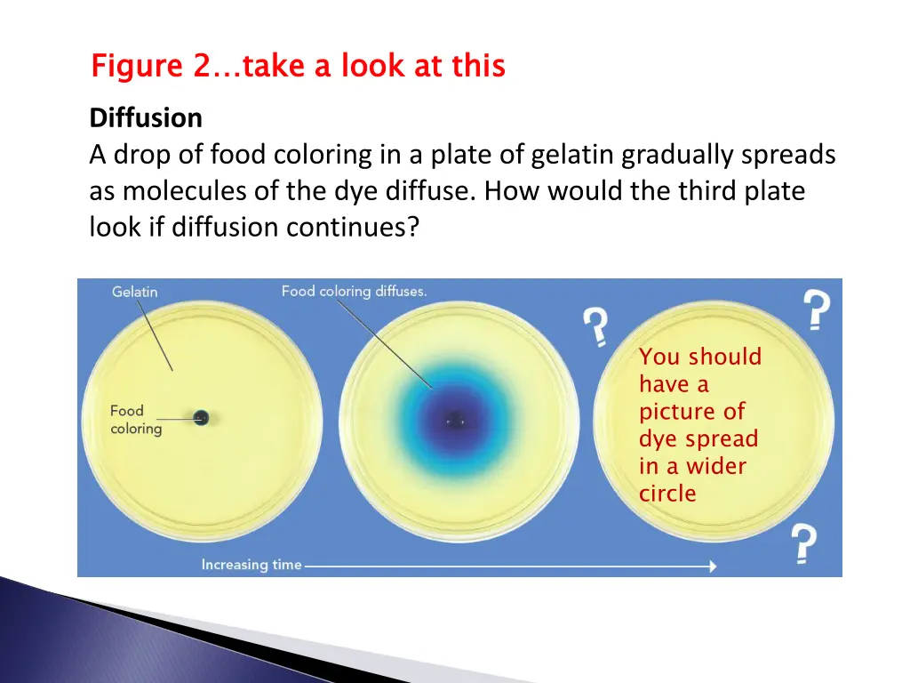 figure 2 take a look at this 1