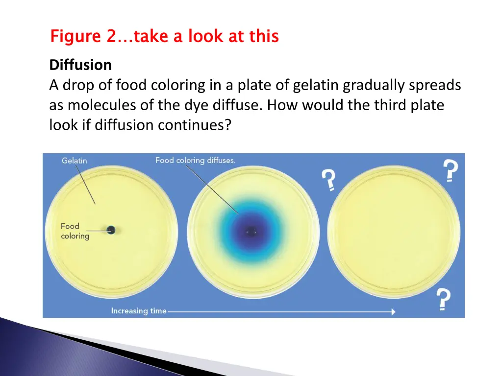 figure 2 take a look at this