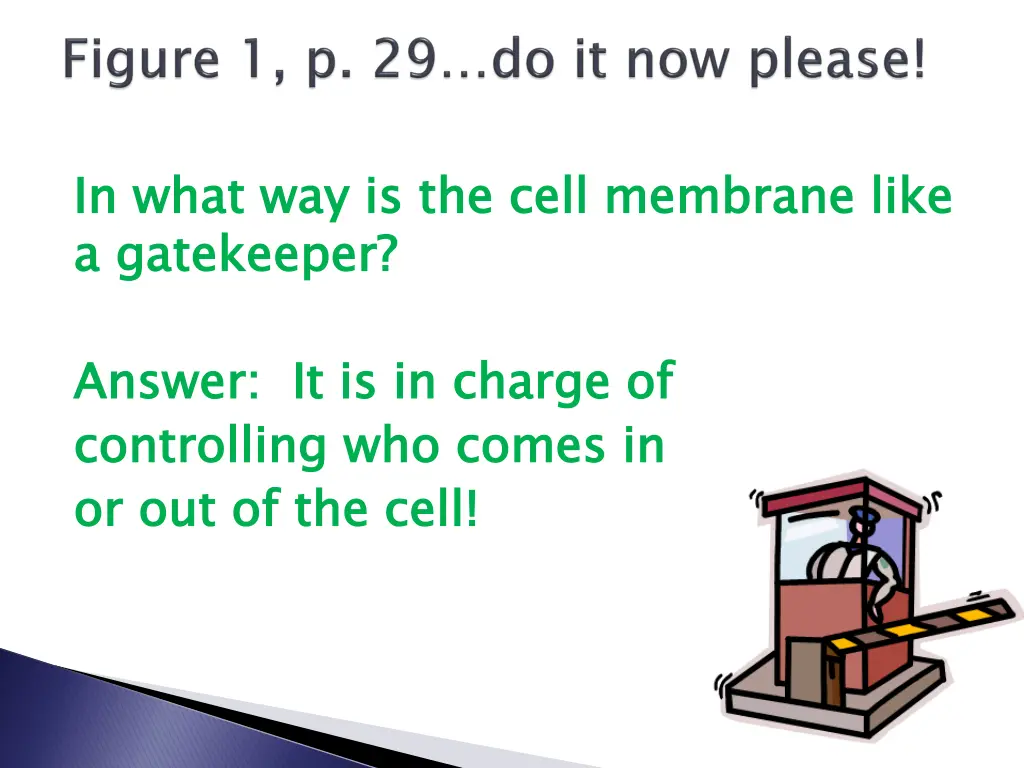 in what way is the cell membrane like a gatekeeper