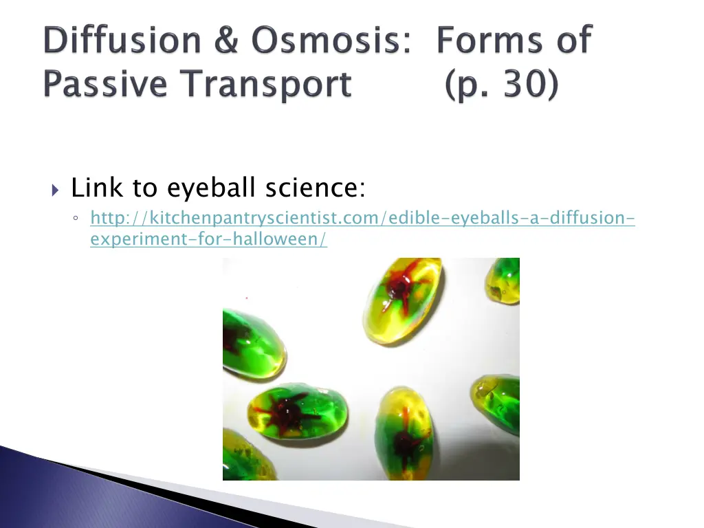 link to eyeball science http