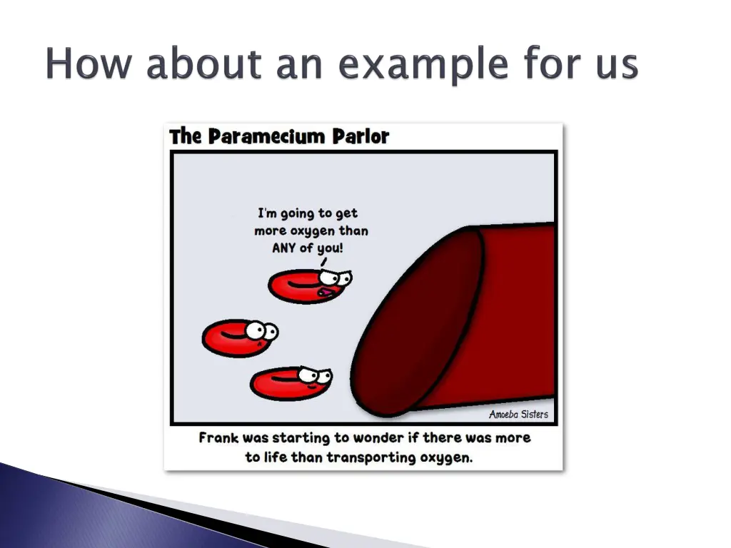 slide20