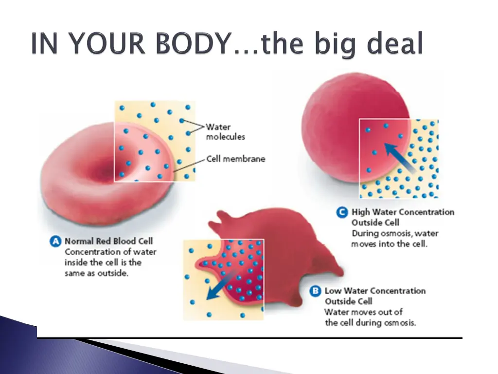 slide24