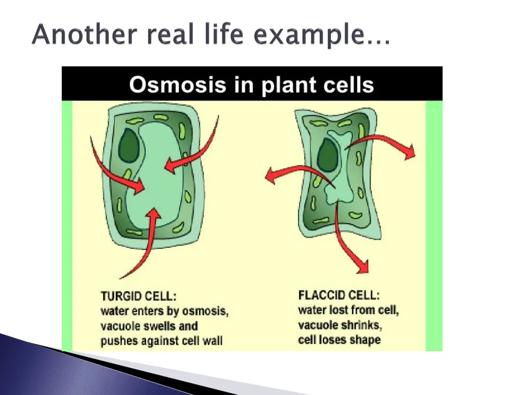 slide26
