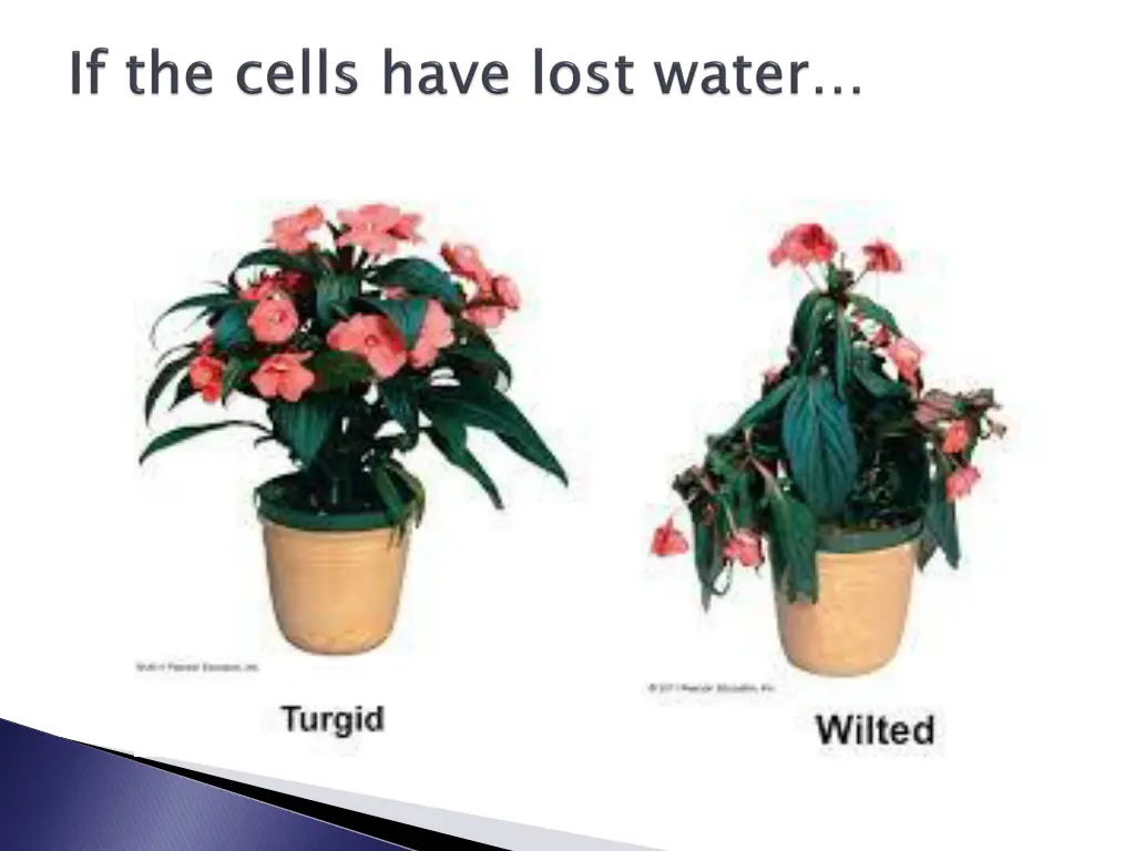 slide27
