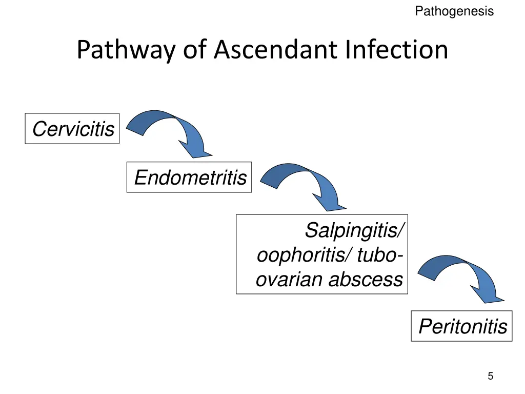 pathogenesis