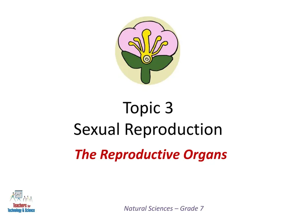 topic 3