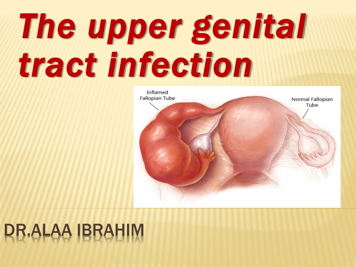 the upper genital the upper genital tract