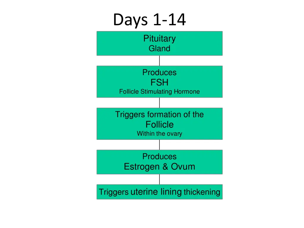 days 1 14 pituitary gland