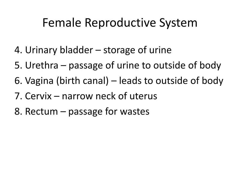 female reproductive system 2