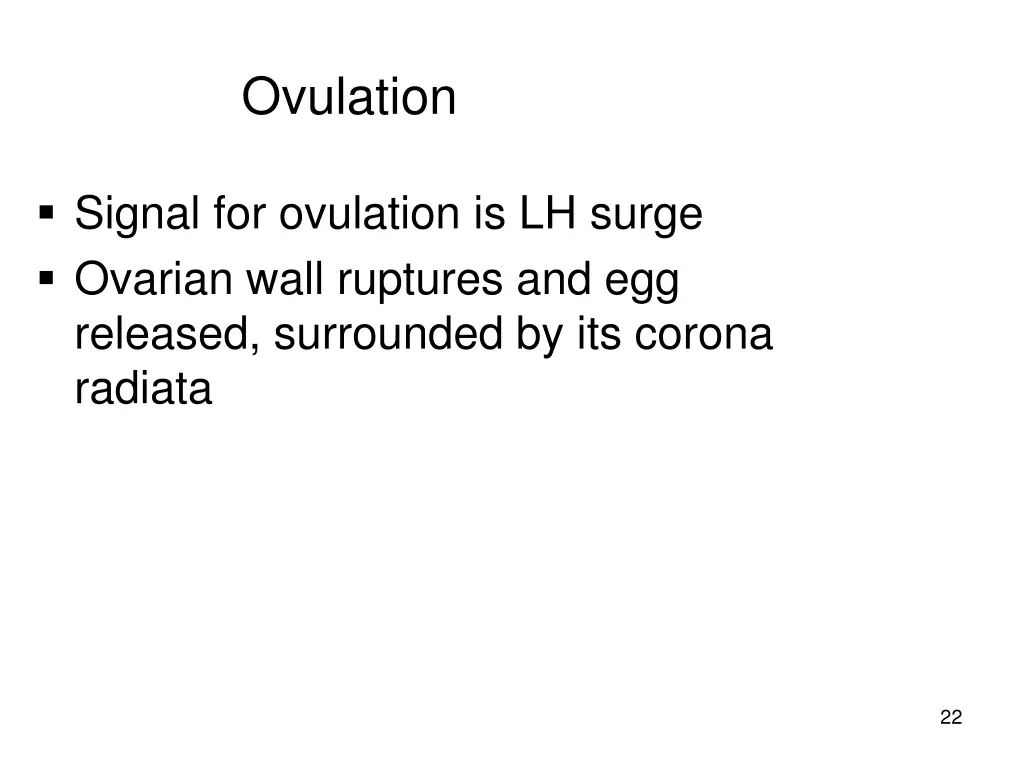 ovulation