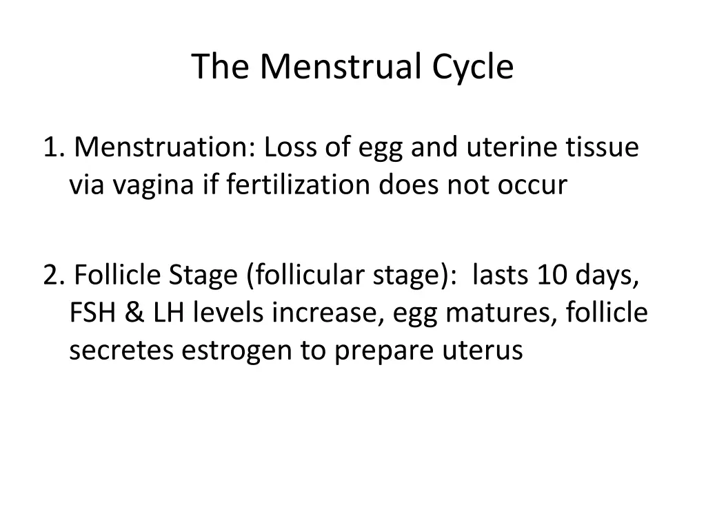 the menstrual cycle 1