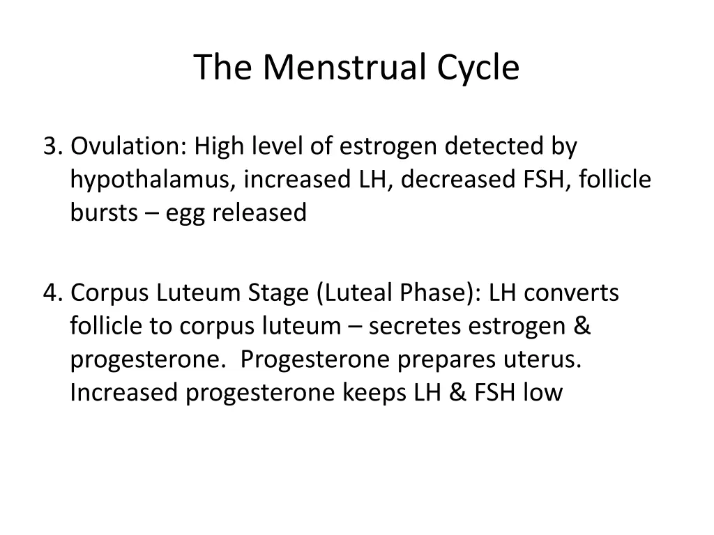 the menstrual cycle 2