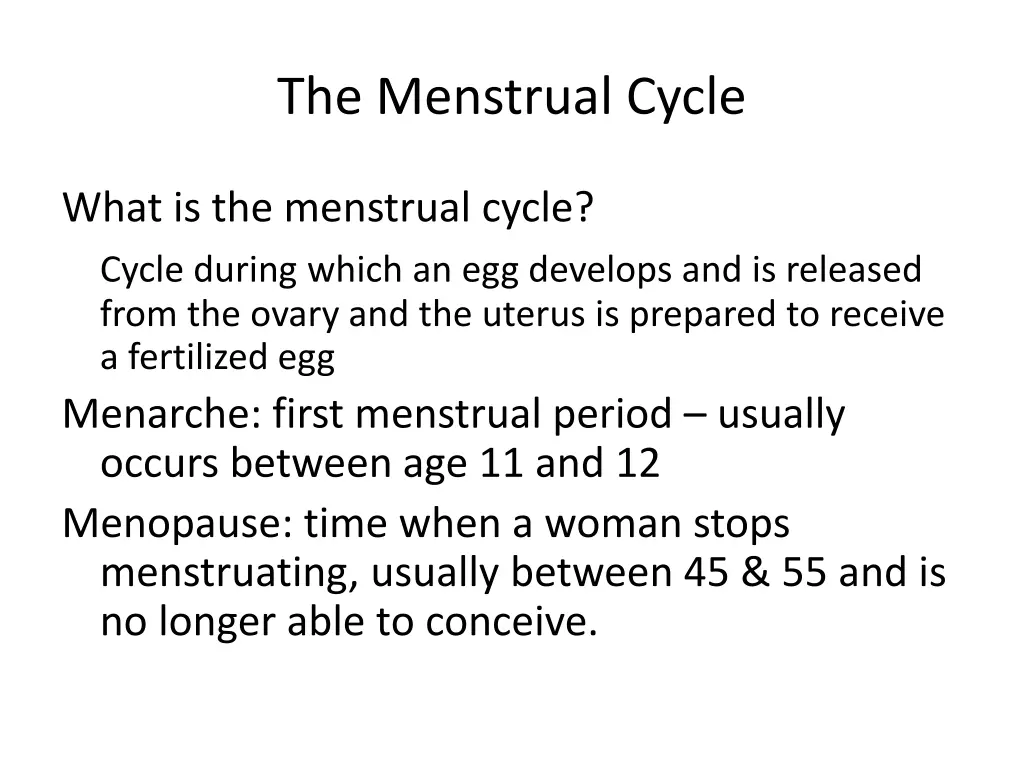 the menstrual cycle