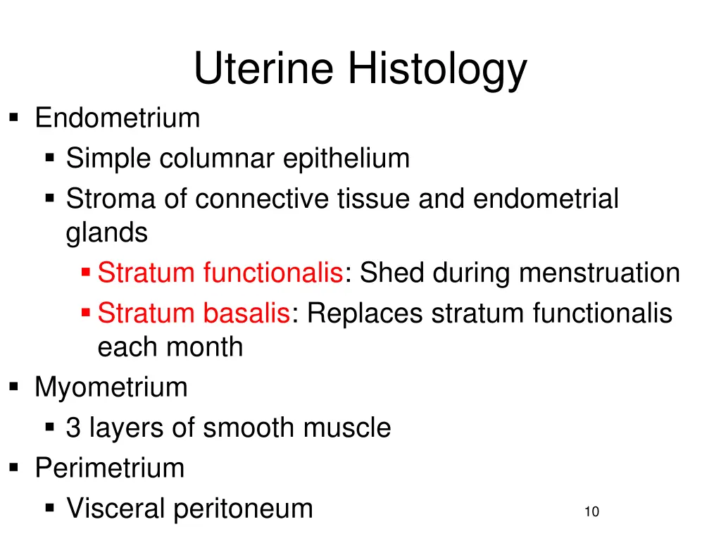 uterine histology
