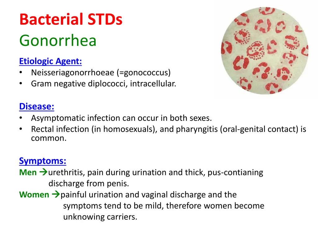bacterial stds gonorrhea