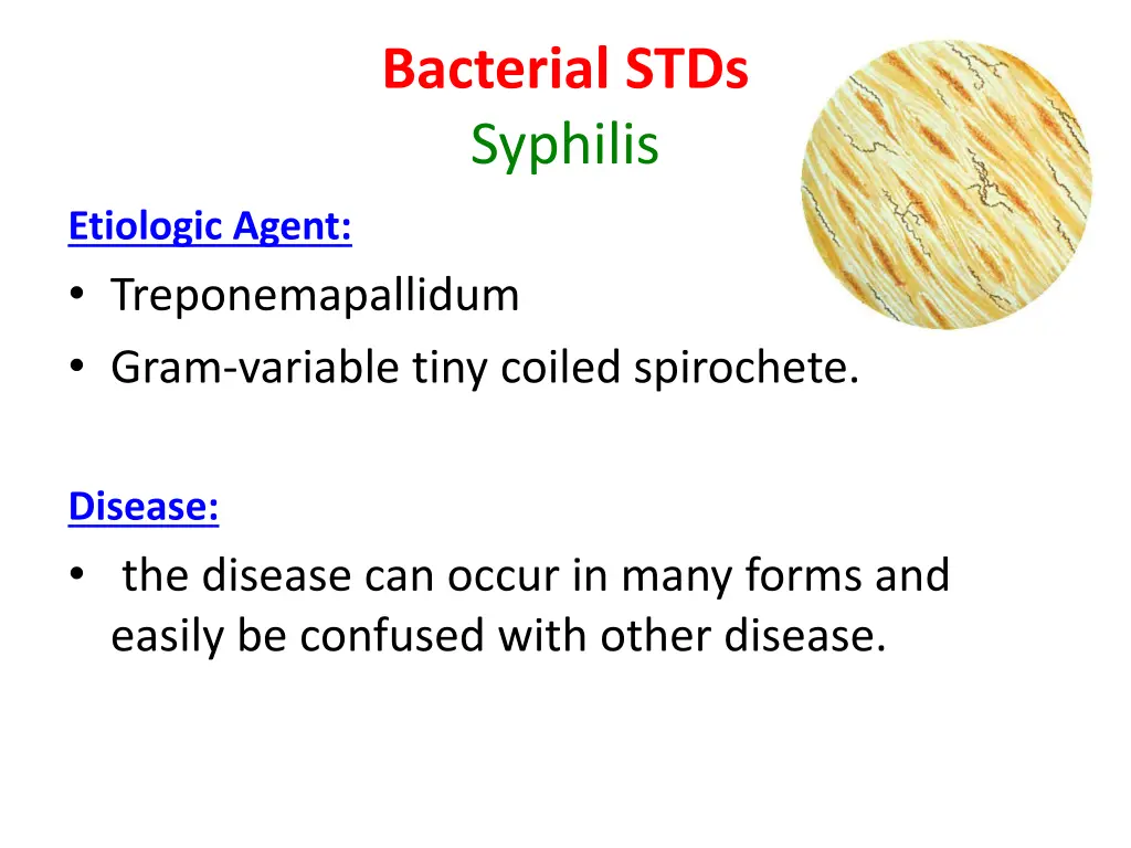 bacterial stds syphilis