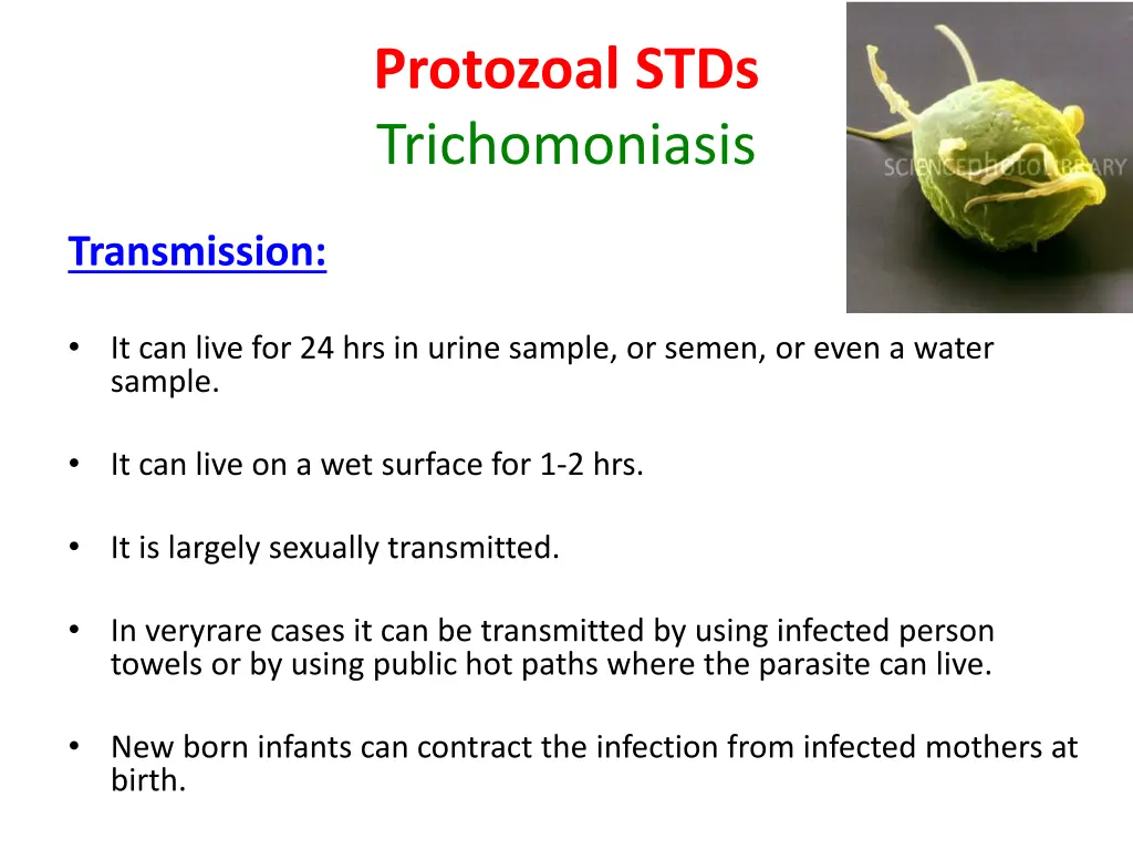 protozoal stds trichomoniasis 1