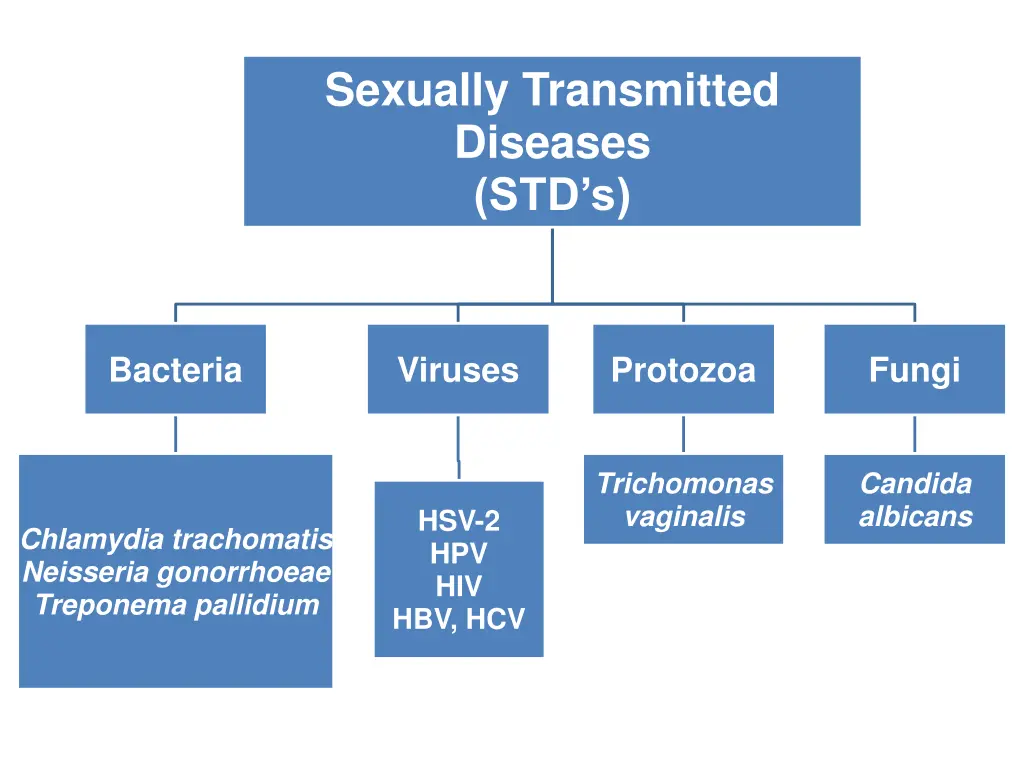 sexually transmitted diseases std s