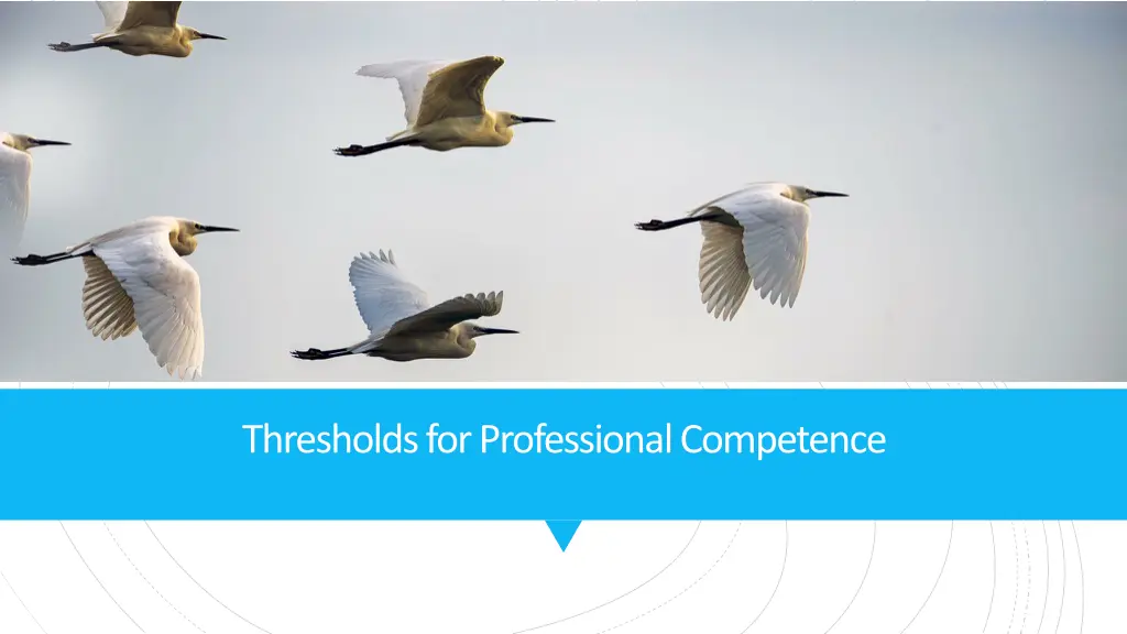thresholds for professional competence