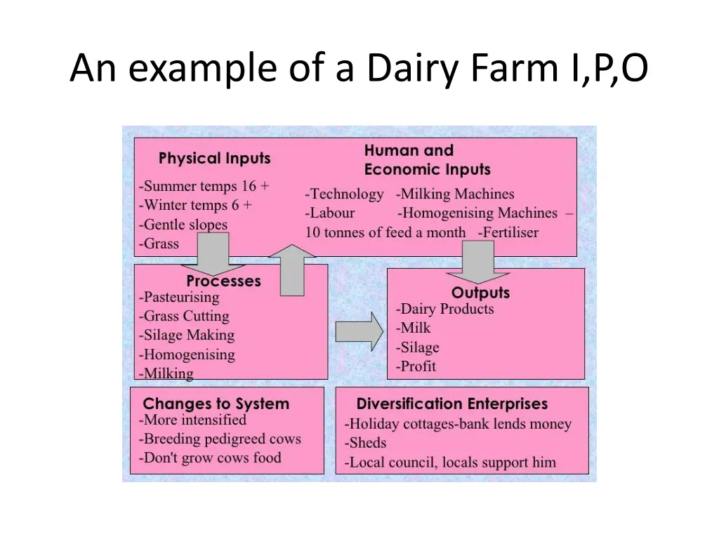 an example of a dairy farm i p o