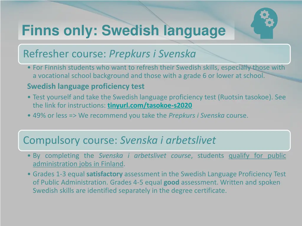 finns only swedish language