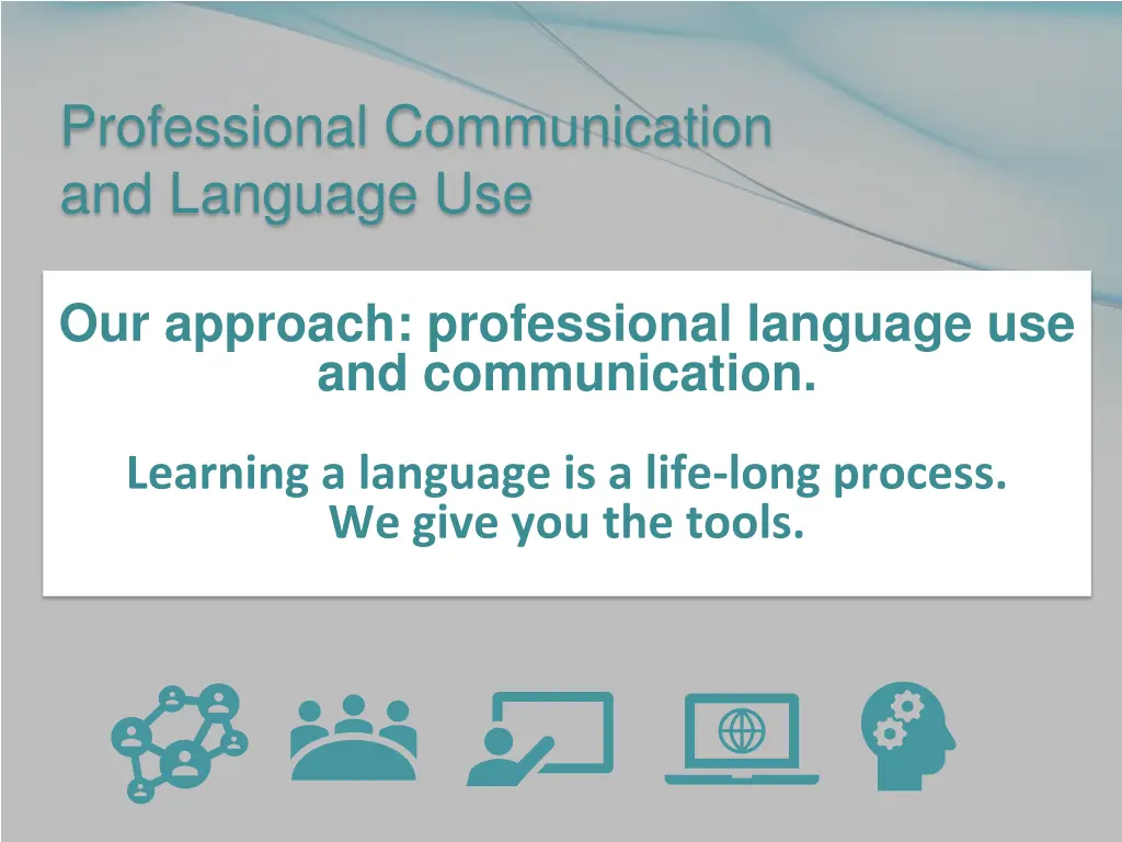 professional communication and language use