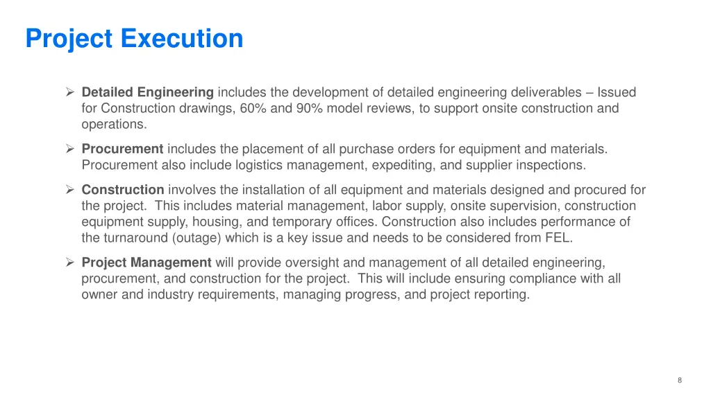 project execution