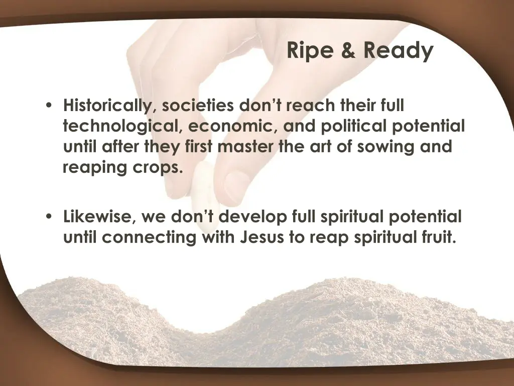 ripe ready