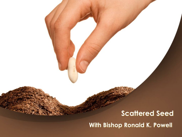 scattered seed