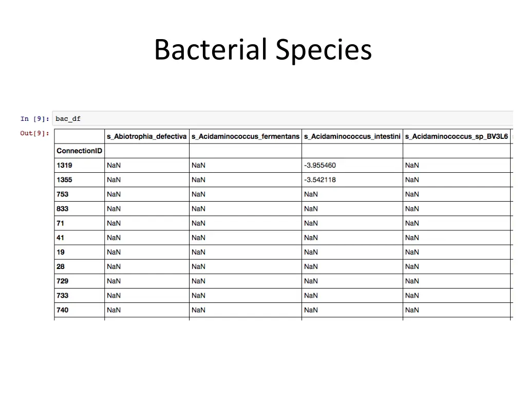 bacterial species