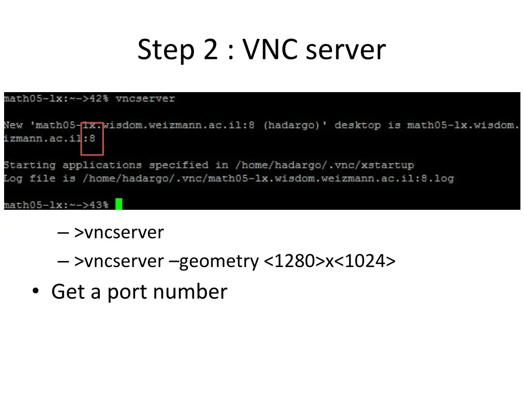 step 2 vnc server