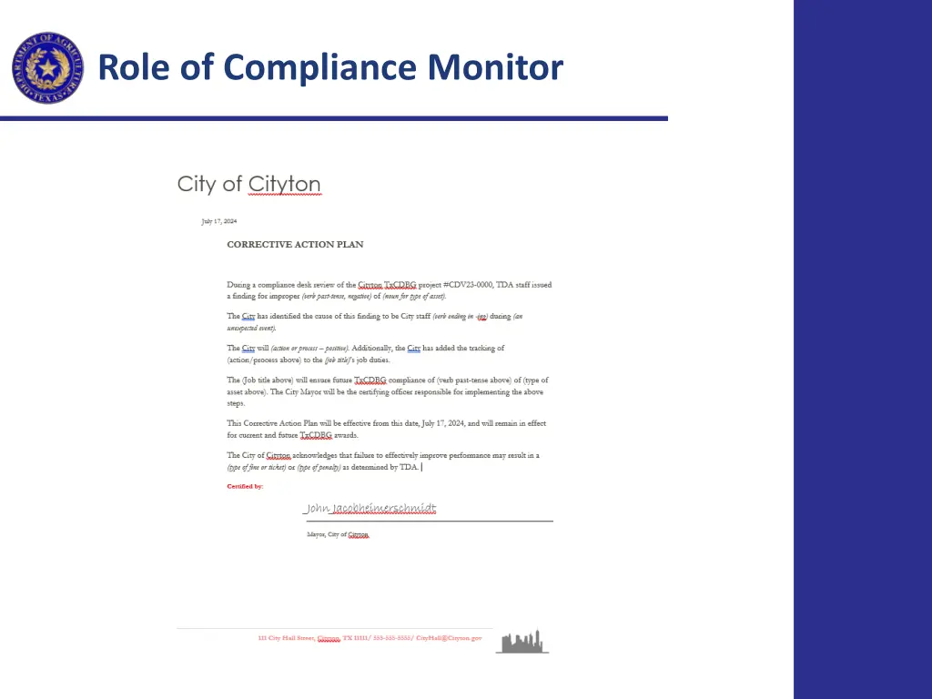 role of compliance monitor 2