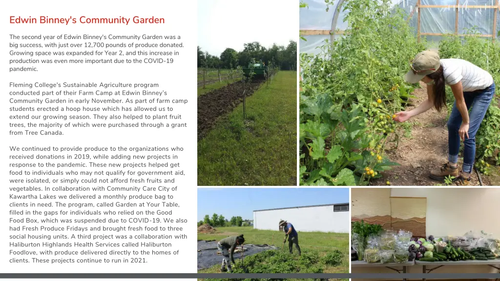 edwin binney s community garden