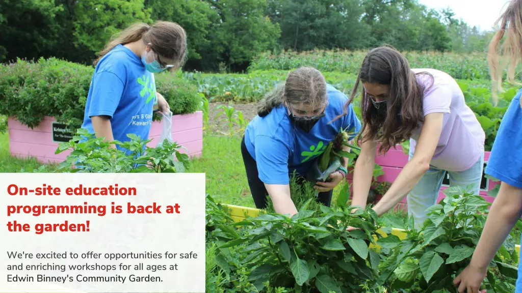 on site education programming is back