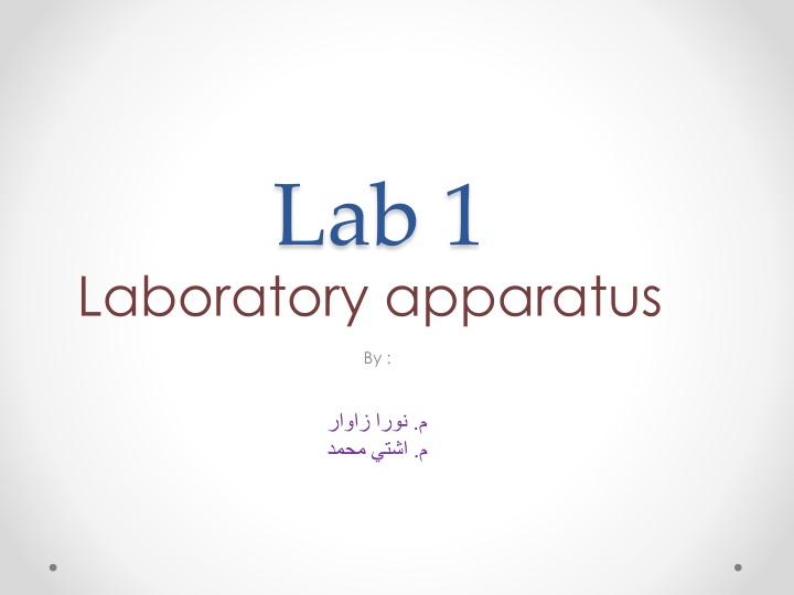 lab 1