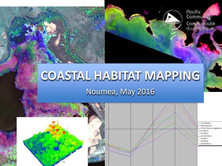 coastal habitat mapping