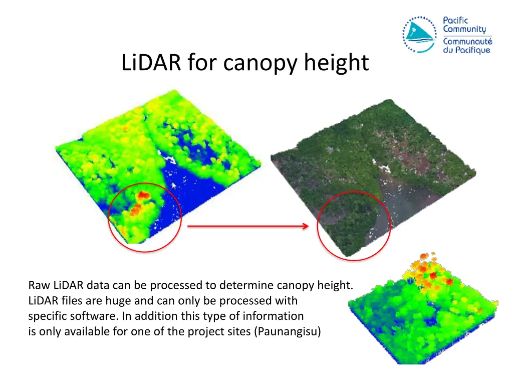 lidar for canopy height