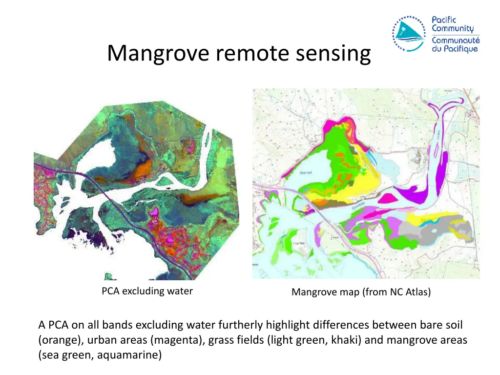 mangrove remote sensing 1