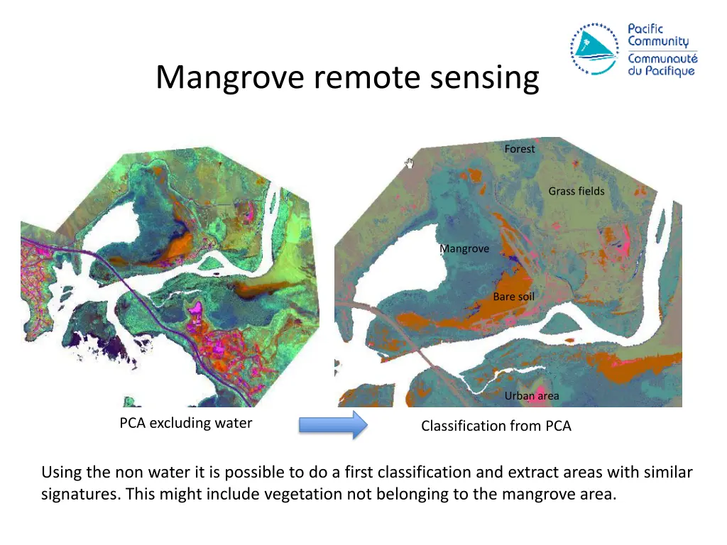 mangrove remote sensing 2
